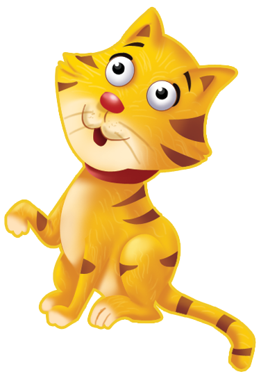 cat